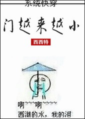 门越来越小好看吗